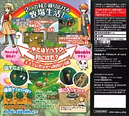 Image n° 2 - boxback : Bokujou Monogatari - Futago no Mura